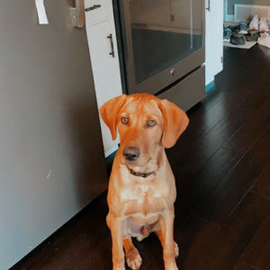 Meet your Posher, Nora